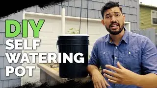 How to Build a Self Watering Pot For $10 😱