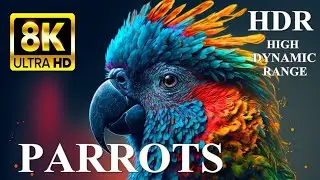 MOST BEAUTIFUL PARROTS 8K Ultra HD HDR Dolby Vision