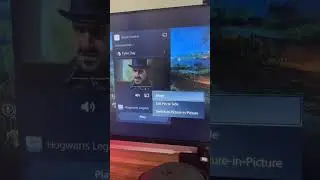 Playing Picture in Picture with a friend! 