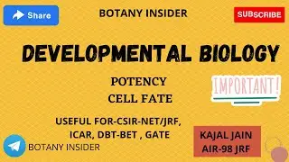 Developmental Biology- Basics | Stem cells | Potency | Cell Fate | Specification | Determination |