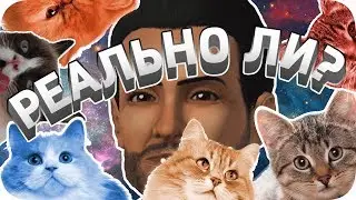 1 Персонаж и 6 КОШЕЧЕК! - Sims 3