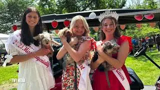 Strawberry Festival Cruise In - Troy Ohio 2023