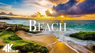 Beach 4K - Scenic Relaxation Film With Calming Music - Video UltraHD