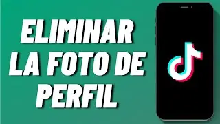 Cómo eliminar la foto de perfil en TikTok