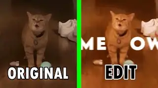 I go meow Original Vs Edit / I go meow cat meme