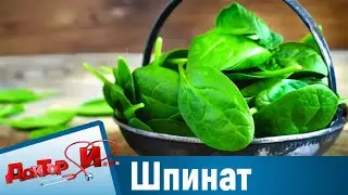 Шпинат - царь овощей. “Доктор И“