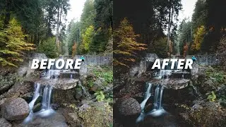 Free autumn/fall Lightroom preset! Awesome autumn photo editing