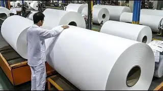 The process of mass producing paper hand towels. A paper factory in Korea