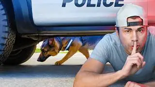 How to Escape a Police Sniffing Dog