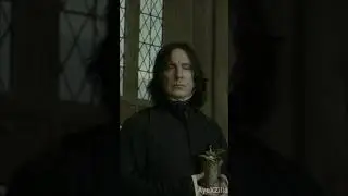 Muggles Vs PotterHeads 😂 by Professor Snape 💚|