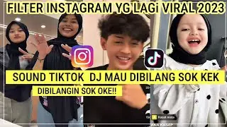 Filter Instagram Yang Lagi Viral Tiktok Terbaru 2023! Filter Ig Sound Tiktok Dj Mau Dibilang Sok Kek