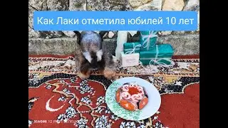 ЮБИЛЕЙ 10 ЛЕТ У ЛАКИ