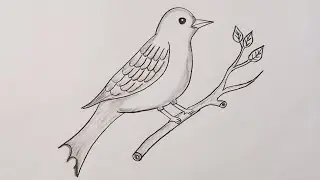 bird drawing easy step by step!! pencil drawing!! how to draw a bird!! drawing for beginners !!art