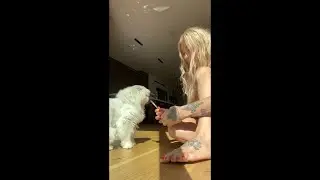 Kesha - THE ONE. (Official Visualizer)