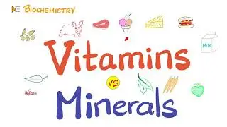 Vitamins vs Minerals - What’s the difference? - Diet & Nutrition Series