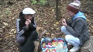 ЧТО  В  ЛЕСУ  БЫЛО  С  ПОДРУГОЙ