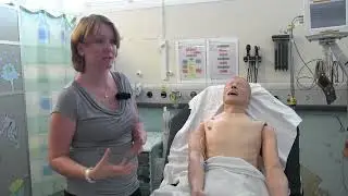 Sepsis Simulation