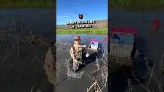 🦞 A DAY IN THE LIFE OF CRAW-KID 