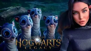 Hogwarts Legacy ➤ Приют для животных (Серия 8)