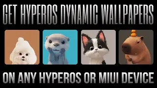 Get New HyperOS Dynamic Wallpapers On Any HyperOS Device | Techtitive