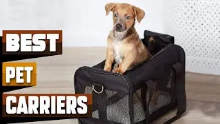 Best Pet Carrier In 2025 - Top 10 Pet Carriers Review