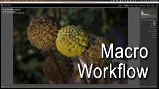 My Post Production Macro Workflow