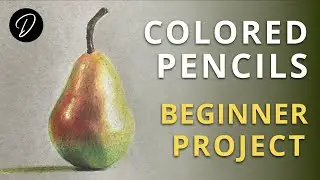 COLOURED PENCILS - Lesson & Project for Beginners