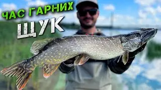 ✅НАРЕШТІ! ЗЛІ КИЇВСЬКІ ЩУКИ! РИБАЛКА НА ДНІПРІ✅