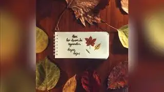 Beyza Doğuç - Ben Her Kasım'da Öğrendim