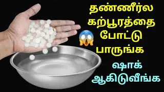 அடேங்கப்பா இவ்ளோ நாளா இந்த சூப்பர் ஐடியா தெரியாம போச்சே😱| kitchen tips in tamil #tips@EvaSamayal