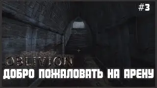 TES IV: Oblivion на 100% #3: Добро пожаловать на Арену (Подробное прохождение).