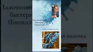 013 Микознаяинфекция Подомарафон