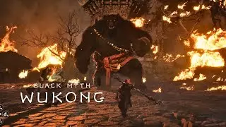 Black Myth: Wukong - Black Bear Guai No Damage Boss Fight