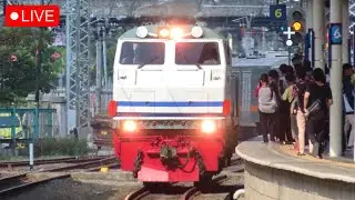 🔴 NONTON RAMAINYA KERETA SORE DI STASIUN TERSIBUK JAKARTA !! Ada Lokomotif CC 203 Livery Garis Biru
