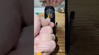 Inside a Pencil Sharpener