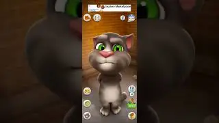 Talking Tom Cat #shorts
