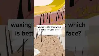 Waxing vs Shaving: Which is better for your face? 