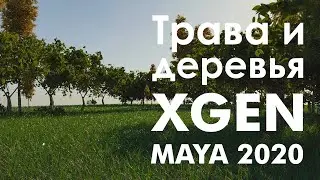 Создание травы и деревьев в XGEN, MAYA 2020.03 Урок из курса CG generalist. Инструктор Вадим Беседин