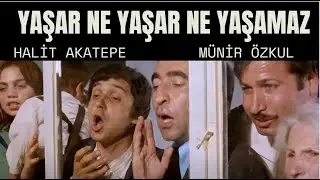 Yaşar Ne Yaşar Ne Yaşamaz Türk Filmi | HALİT AKÇATEPE | FULL HD