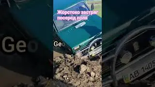 їхав по гриби і застряг в баюрі посеред поля #georgmotoblok #мотоблок