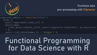 Functional Programming for Data Science - R Data Science Project