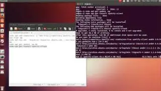 Install Spotify on Ubuntu