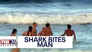 Man injured after shark attack at New Smyrna Beach