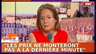 Proxima, le futur concurrent français de la SNCF : 