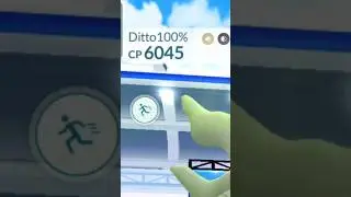 OMG! Ditto transform into 6000 cp Mega 