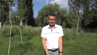 Как записать живое видео