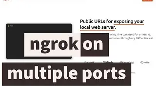 How to Run Ngrok on Multiple Ports in single system/pc for free !!