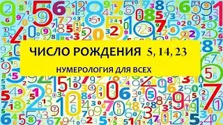 Характер по числу дня рождения 5 - 5, 14, 23 числа