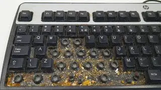 Cleaning The Dirtiest Keyboard Ever!