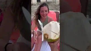 Jual kelapa bahasa turkey 